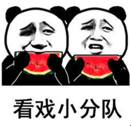 别人发一个吃瓜的表情过来,一场网络表情引发的狂欢