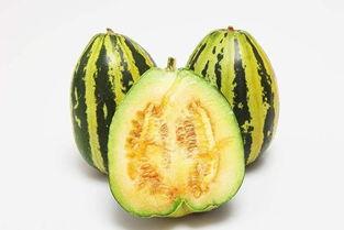 g718sx娱乐吃瓜,揭秘吃瓜群众的狂欢盛宴